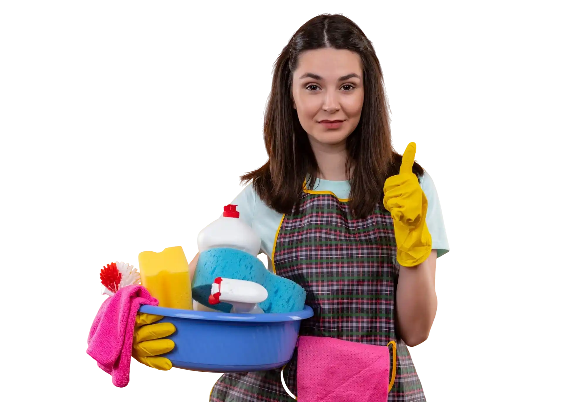 Domestic Cleaning